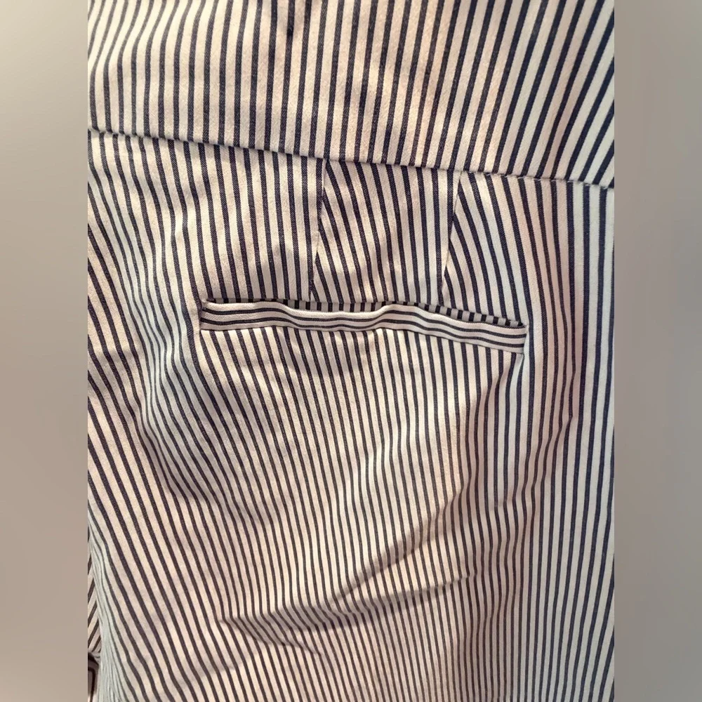 Massini Blue White Striped Pull On Pants Plus Size 3X Ankle Career